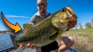 9lbers On Bladed Jigs Do Not Suck!
