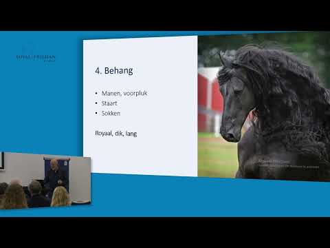 Beoordelen van het Friese paard | Will Tijssen