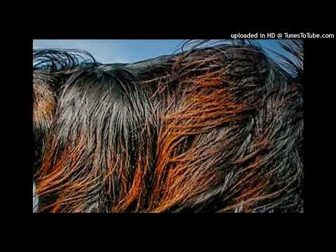 GENESIS 27.1 ISAAC BLESSES JACOB she put the skins of the kids of the goats on Jacob's hands