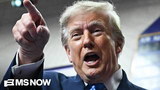 Trump REVERSES course, tells Republicans to vote by mail now