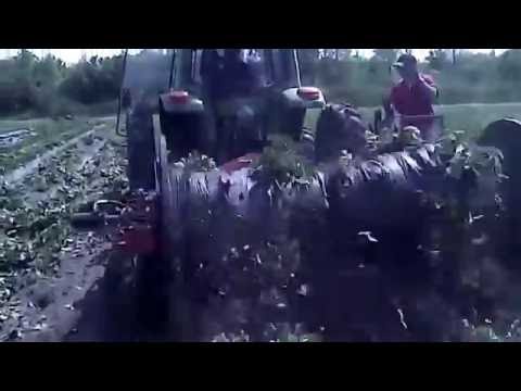 Rocca Industries PMR II - Two Row Strawberry