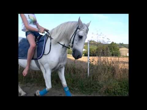 You have stolen my Heart ♥