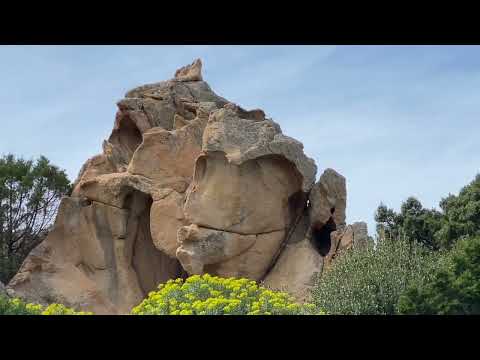 Sardinien Impressionen   März 2023