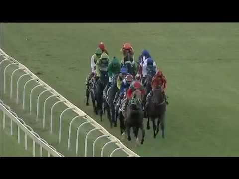 2019.03.30 S A Derby (RSA) - Samurai Warrior