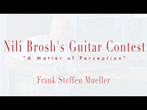 Nili Brosh - A Matter of Perception | Guitar Solo Contest | Entry by Frank Steffen Mueller