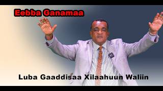 Eebba Ganamaa Luba Gaaddisaa Xilaahuun Waliin / 781