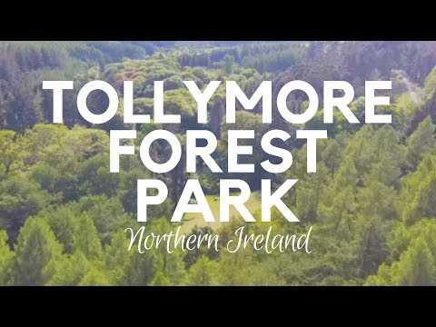 Tollymore Forest Park in 4K - Newcastle Northern Ireland Video