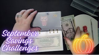 September Cash Stuffing No. 2 $205 | Finishing a BIG Savings Challenge!!