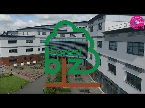 Forest Biz: The new commercial arm of Epping Forest College