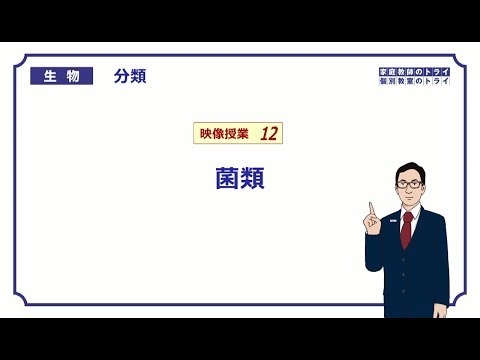 子嚢菌門 (系統分類)について詳しく解説