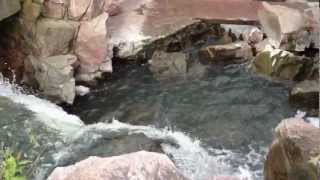 preview picture of video 'Winnewissa Falls, upstream'