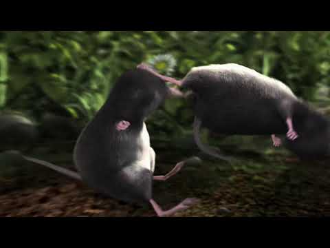 Our Wonderful Nature