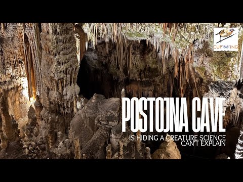 POSTOJNA CAVE is hiding a creature Science can’t explain! #slovenia @Postojnacave 