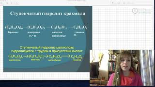 Сравнение крахмала и целлюлозы