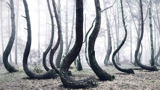 Lugares Ainda Mais Misteriosos Que o Triângulo das Bermudas