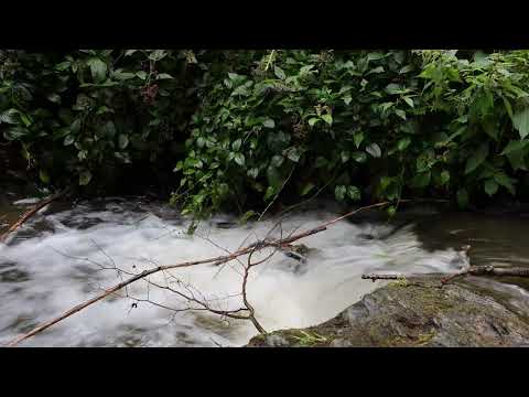 Flowing Mountain - 3 Hours Relaxing River Sounds - Calming Nature White Noise