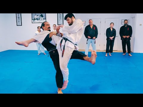 Harai Tsurikomi Ashi – Japanese Jujutsu Throw from a Front Kick Defense (jujitsu) || George Rego