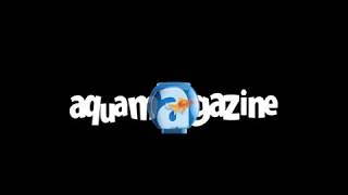 preview picture of video 'Sekai Scaping + Aquamagazine'