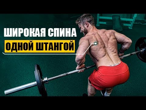 5 Упражнений на Мышцы Спины только Одной Штангой