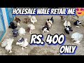 All Fancy Pigeons Holesale wale Retail me Only Rs.500/ All India Delivery / Masakali Kabootar