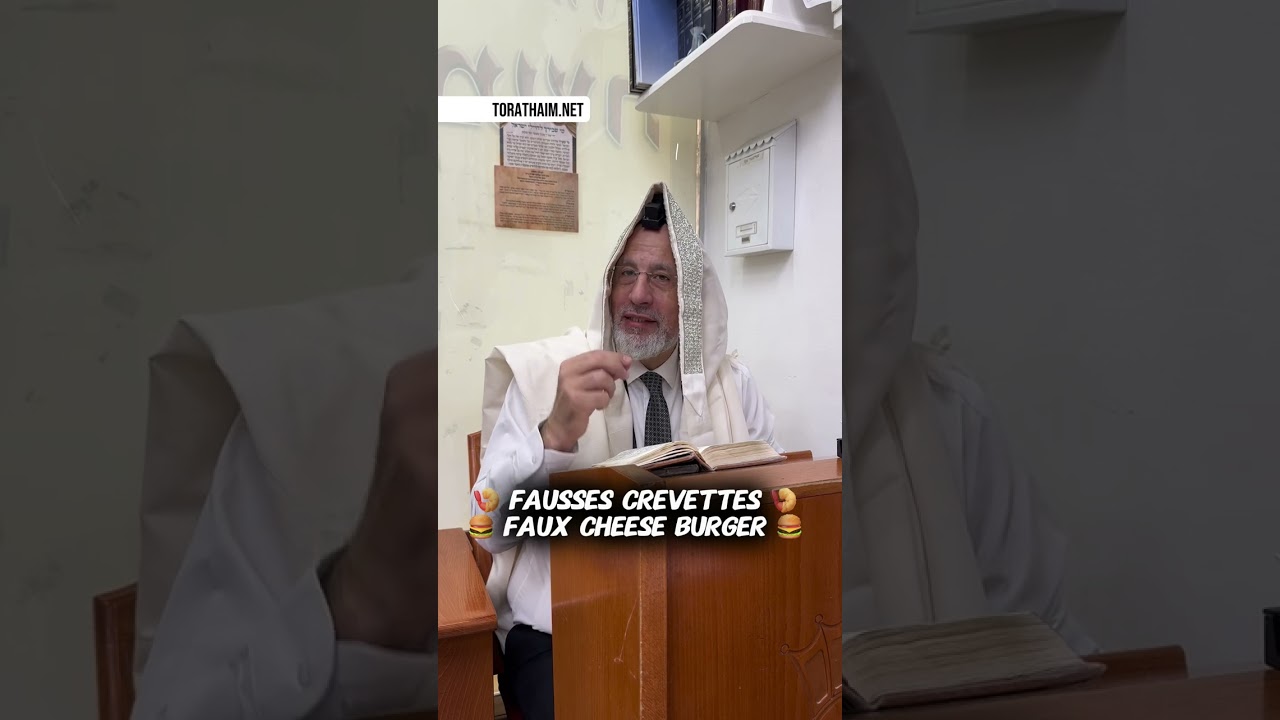 Faux cheese burger 🍔, fausses crevettes 🍤 Permis ?