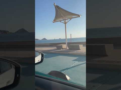 Playas de Mazatlan. | 🍤🦐