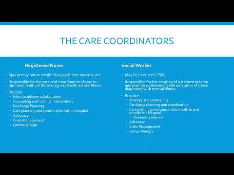 Mental Health Mini # 3: The Interdisciplinary Team