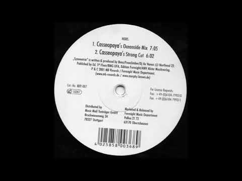 DJ Ax Vanox - Symmetrie (Casseopaya's Oceanside Mix) (2001)