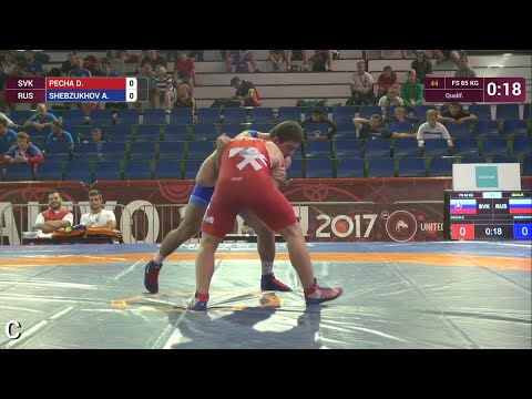 Qual. FS - 85 kg: A. SHEBZUKHOV (RUS) df. D. PECHA (SVK) by VSU, 10-0