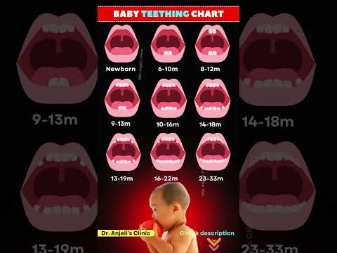 Baby Teeth Eruption Chart: Timeline & Order of Baby Teeth Growth | Baby tooth development