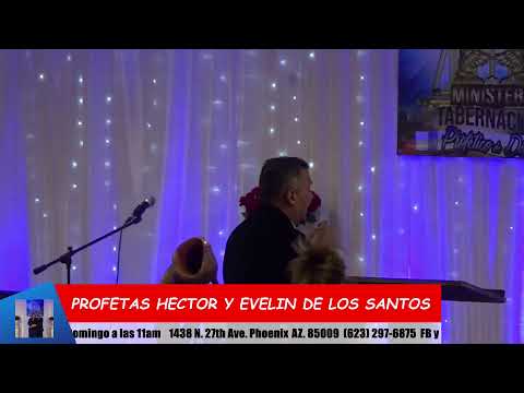 MTPD Phoenix Live Stream