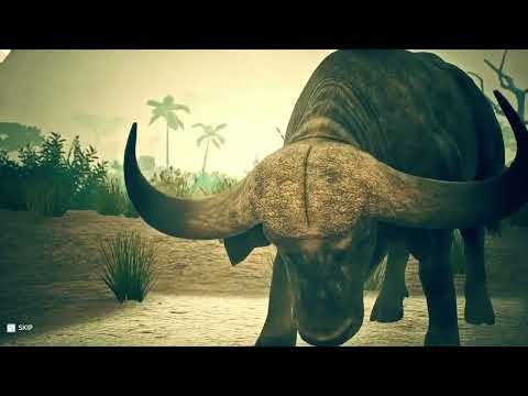 African Buffalo Vs African Rock Python