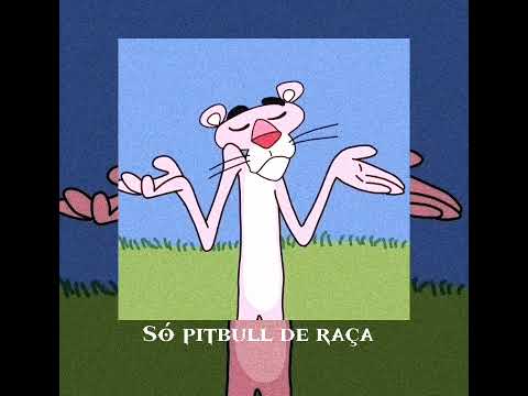Só pitbull de raça (Speed up)