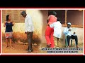AGYA KOO TYPEWRITER EPISODE 43 BOBOR SHOCK GUY BOAKYE