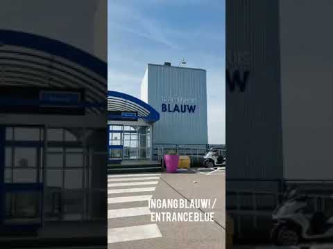 Route Royal Flora Holland Tempo Team