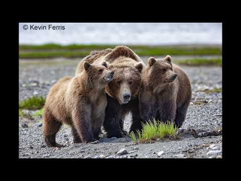 Nature Photography by Kevin Ferris