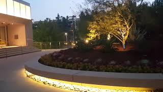 How to Design Succulent Plants to Create a Spectacular Impact