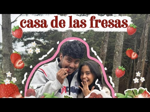 🍓 Entre neblina, flores y una sorpresa inesperada