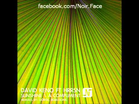 David Keno ft HRRSN - Sunshine - [Robosonic Vocal Remix] - Noir Music
