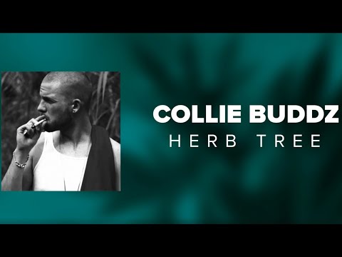 Collie Buddz - Herb Tree (Audio)