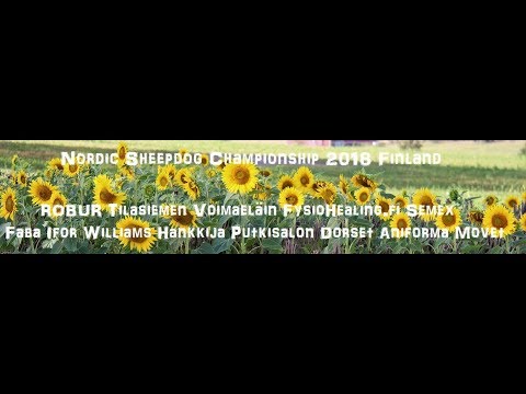 Nordic Sheepdog Championship 2018 Finland / Paimennuksen PM-kilpailut