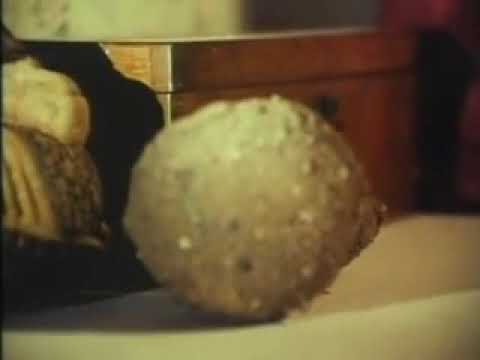 1975 The Giant Spider Invasion Trailer