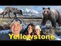 My Trip To Yellowstone & Grand Teton National Park 2022!