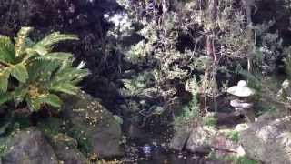 Traditional Elements of a Japanese Garden