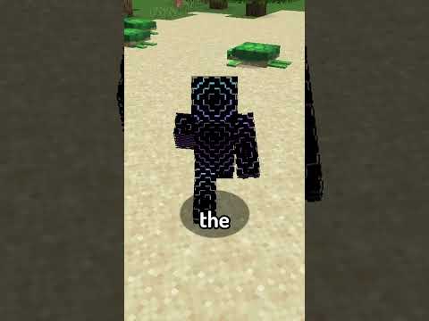 Mini Mod Reviews - Supplementaries