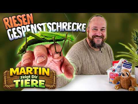 The bizarre giants among the horrors | Zajac Zoo | MARTIN shows you ANIMALS