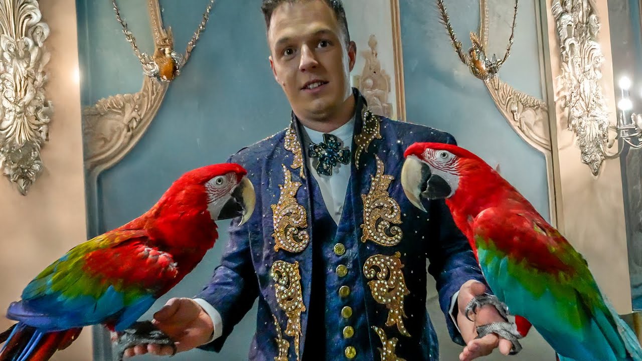 Поймали Дрессировщика Попугаев! Обещал Показать Нам Репетицию с Попугаями 