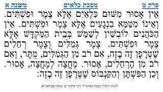 מסכת כלאים פרק ט משנה א