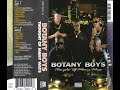 DJ Screw Botany Boys H Town