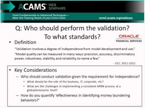 Model Risk Management Across All Financial Crime Applications